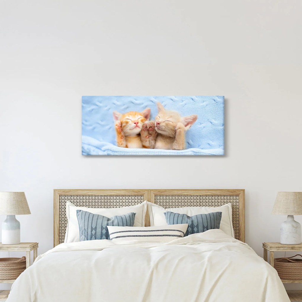 Kép - Alvó cicák (120x50 cm)