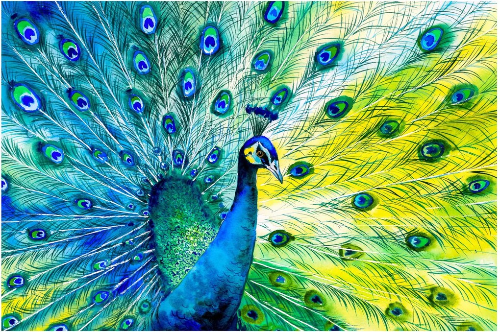 Páva képe (90x60 cm)