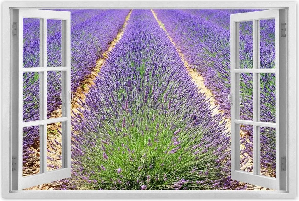 Poszterek 90x60 Levendula