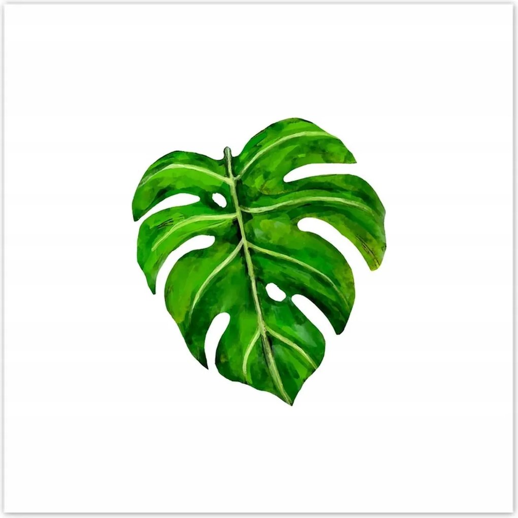 Poszterek 70x70 Modern levél kép