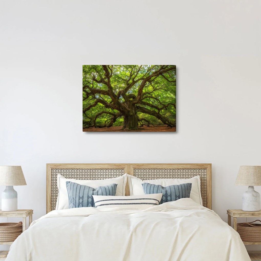 Kép - Zöld fa (70x50 cm)