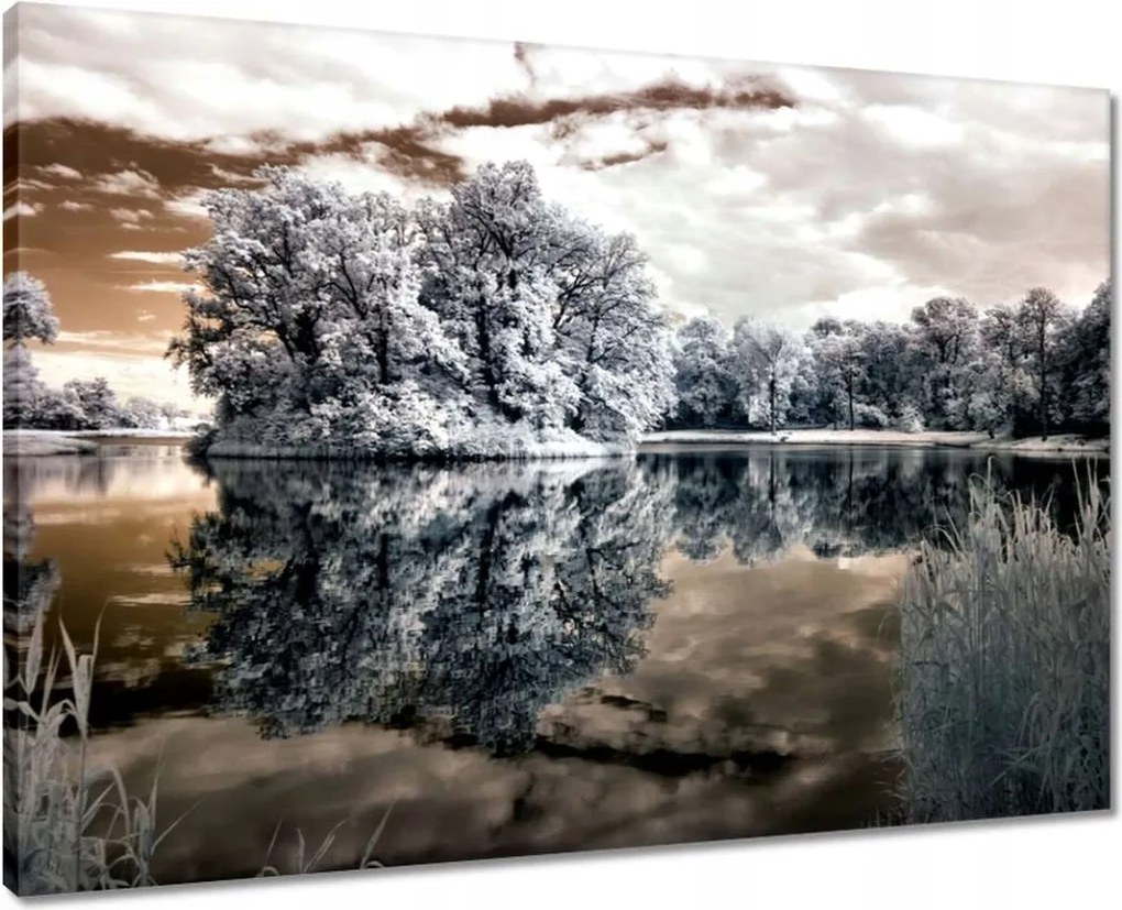 Vászonkép 70x50 Sziget a tavon