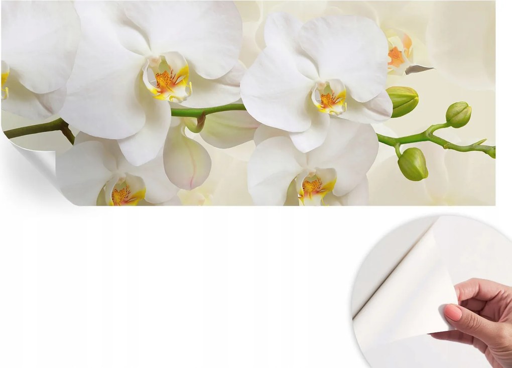 Design fali fotótapéta öntapadós virágos gazdagság 250x104 cm