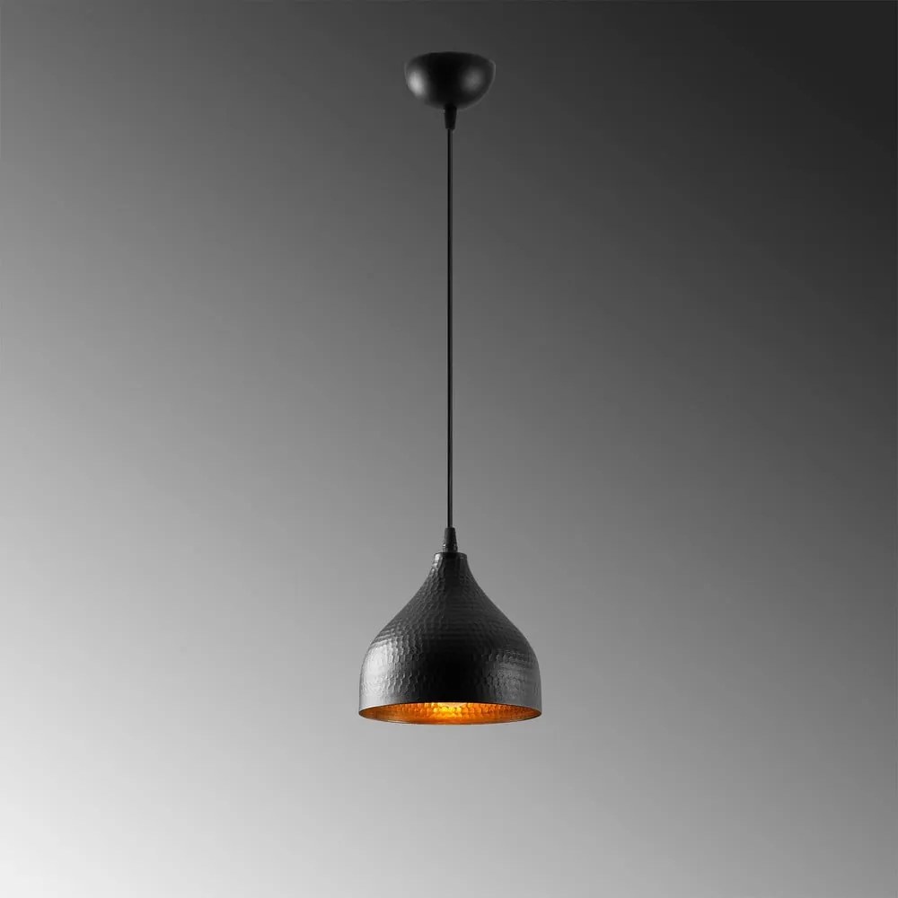 Fekete függőlámpa fém búrával ø 18 cm Tattoo – Opviq lights