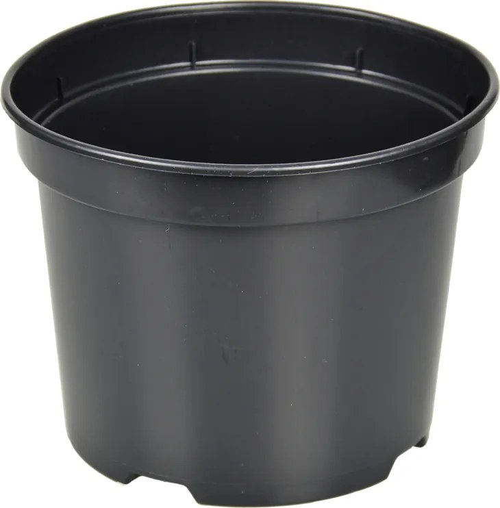 Termelő kaspó kemény 16x13,5cm 2L 100db