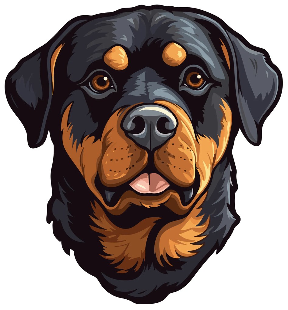 PIPPER. Matrica Rottweiler Méret: 60cm