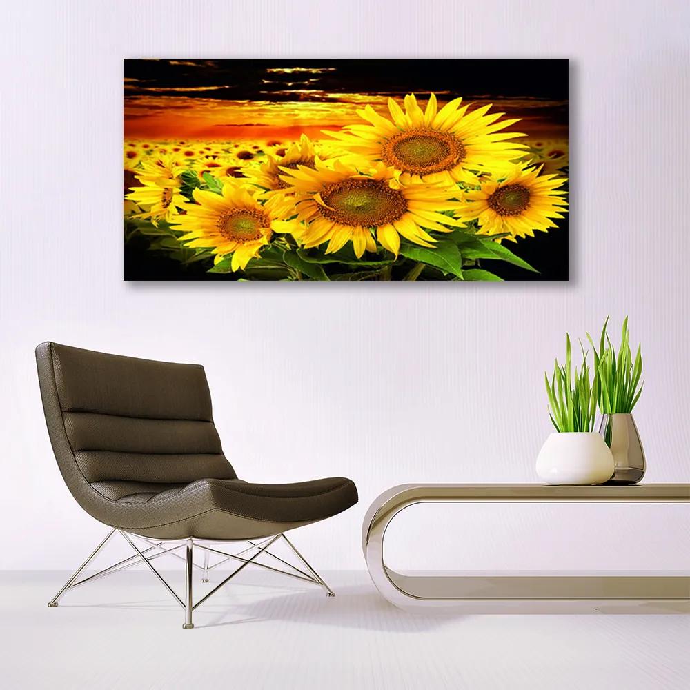 Canvas kép Napraforgó virág növény 100x50 cm