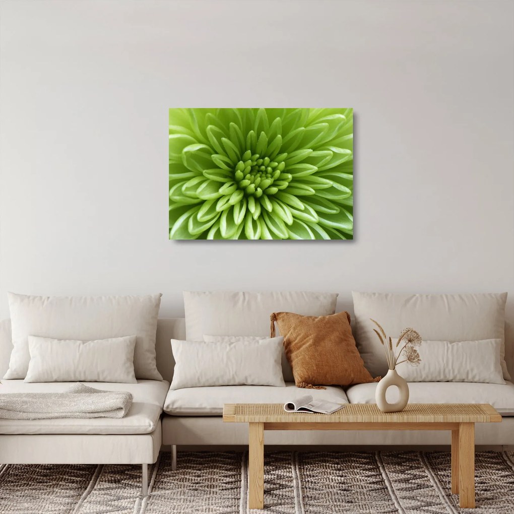 Üveg kép - Makro kép egy növényről (70x50 cm)