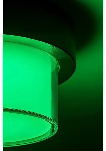 Rabalux 7246 - LED RGBW Kültéri lámpa DURBE LED/10W/230V IP54 Wi-Fi Tuya