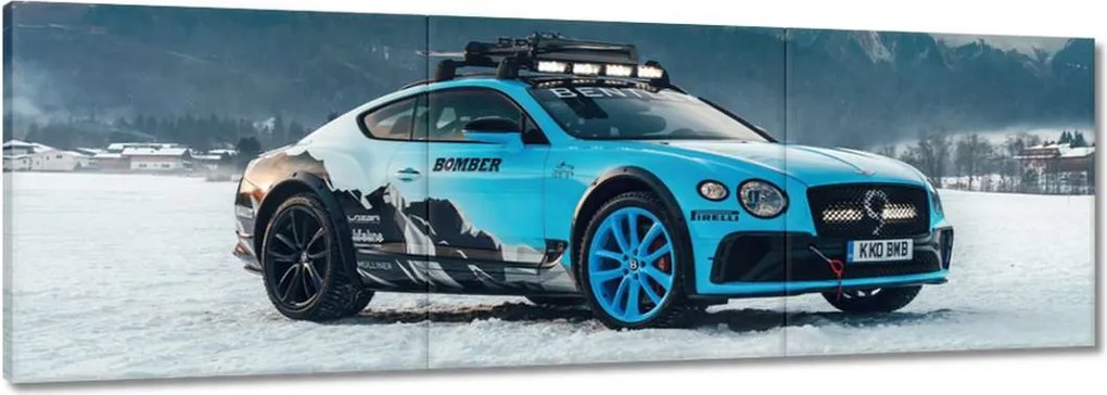 Képek 120x40 Mercedes Téli évszak Tél