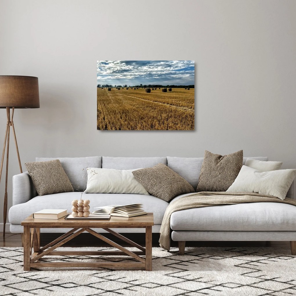 Betakarított gabona mező képe (üvegen) (70x50 cm)