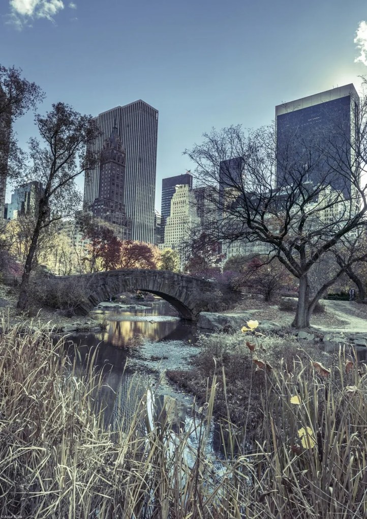 Poszter 29,7x42cm Kilátás a Central Park hídjára, Assaf Frank