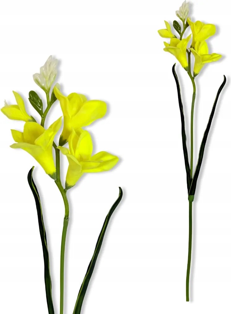 Frézia Sárga Ág Frézia 59 cm Habszivacs virágok vázába Élő