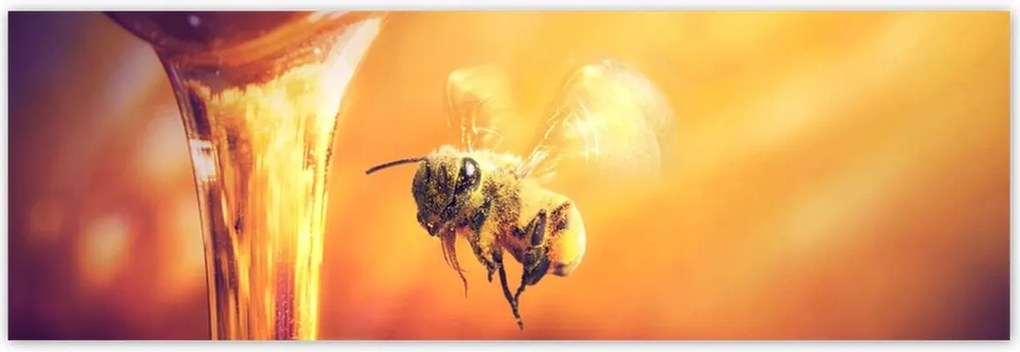 Poszterek 200x66 Csöpögő méz befőttes üvegből