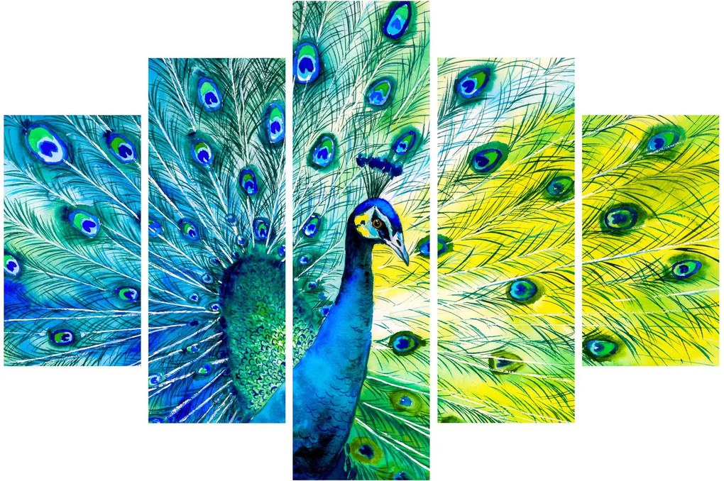 Páva képe (150x105 cm)