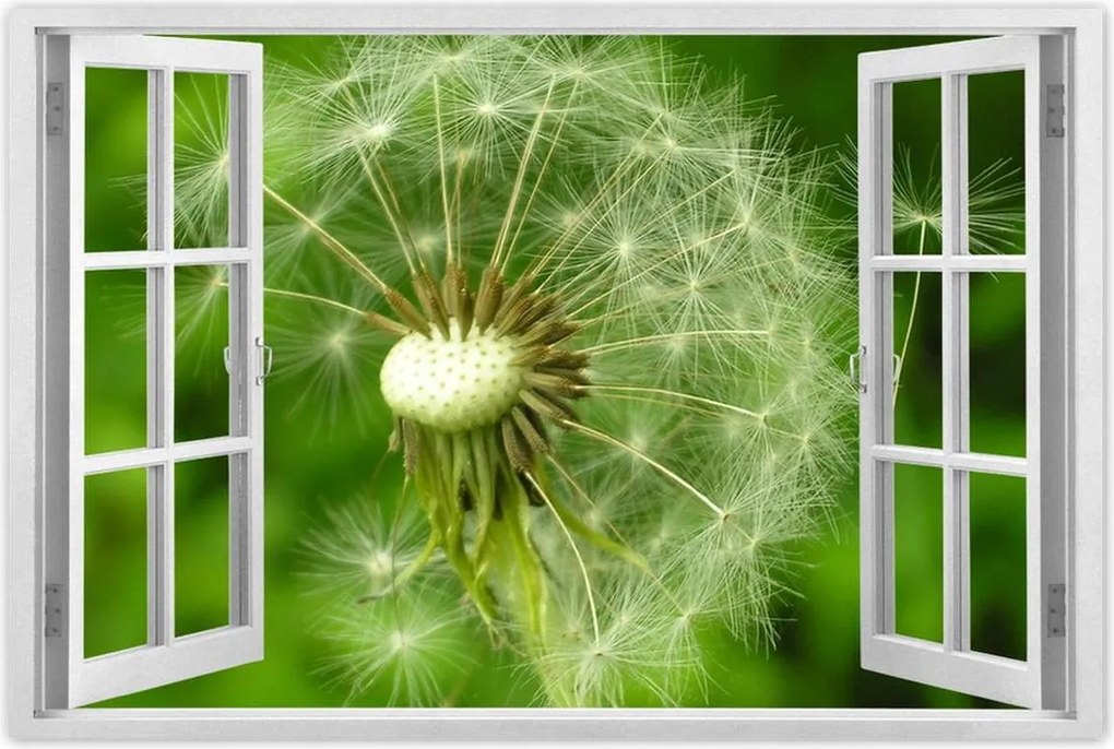 Poszterek 120x80 Pitypang Virág Virágok