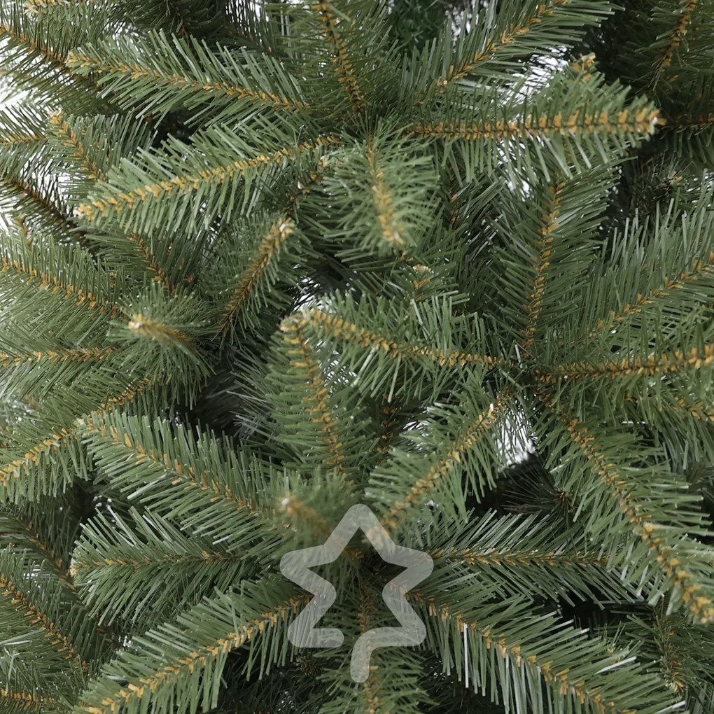Kaukázusi lucfenyő 2D 210 cm