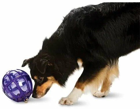 Kibble Nibble M/L kutyajáték