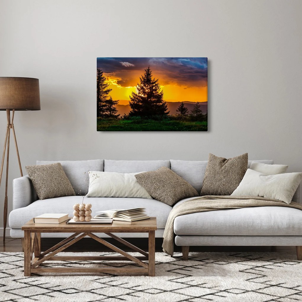 Kép - tűlevelűek (90x60 cm)