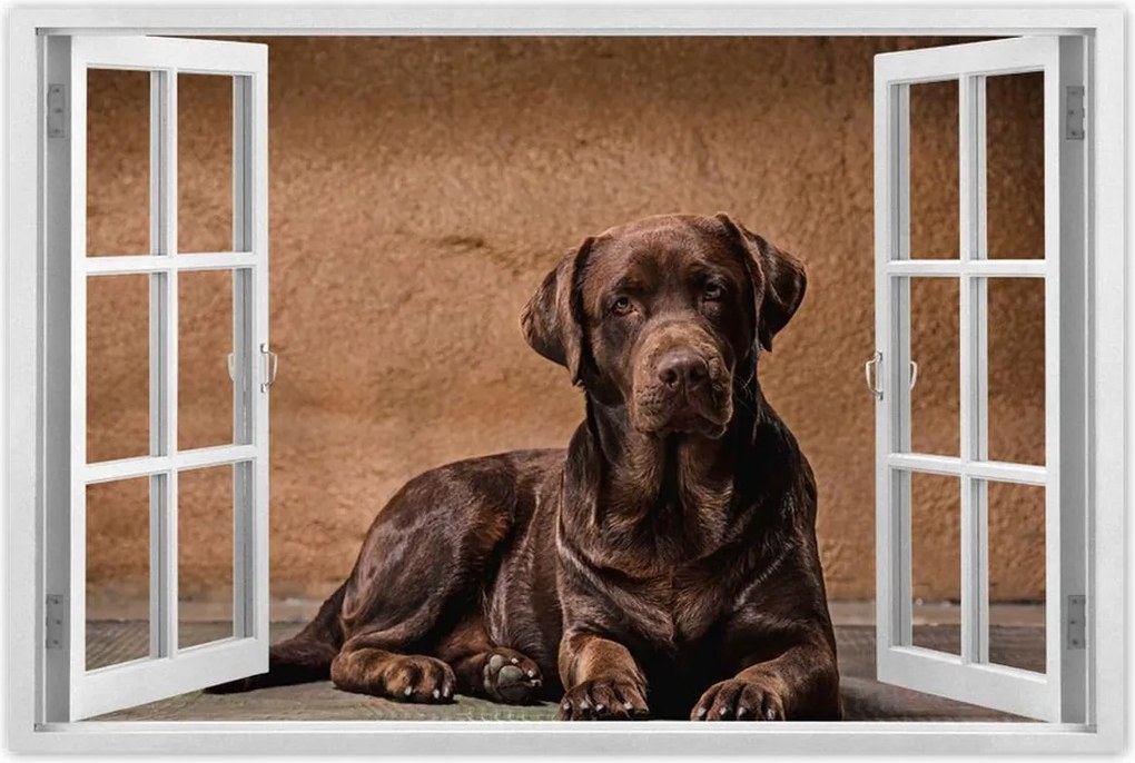 Poszter 60x40 Barna kutya barát