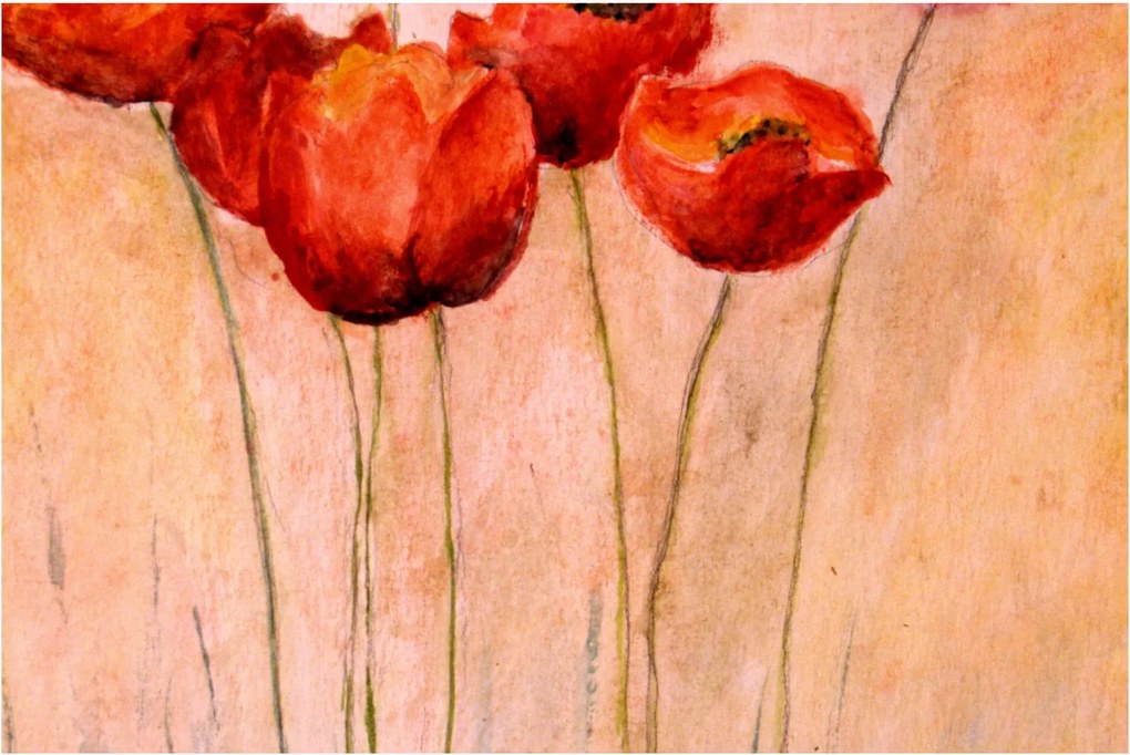 Kép - piros tulipán (90x60 cm)