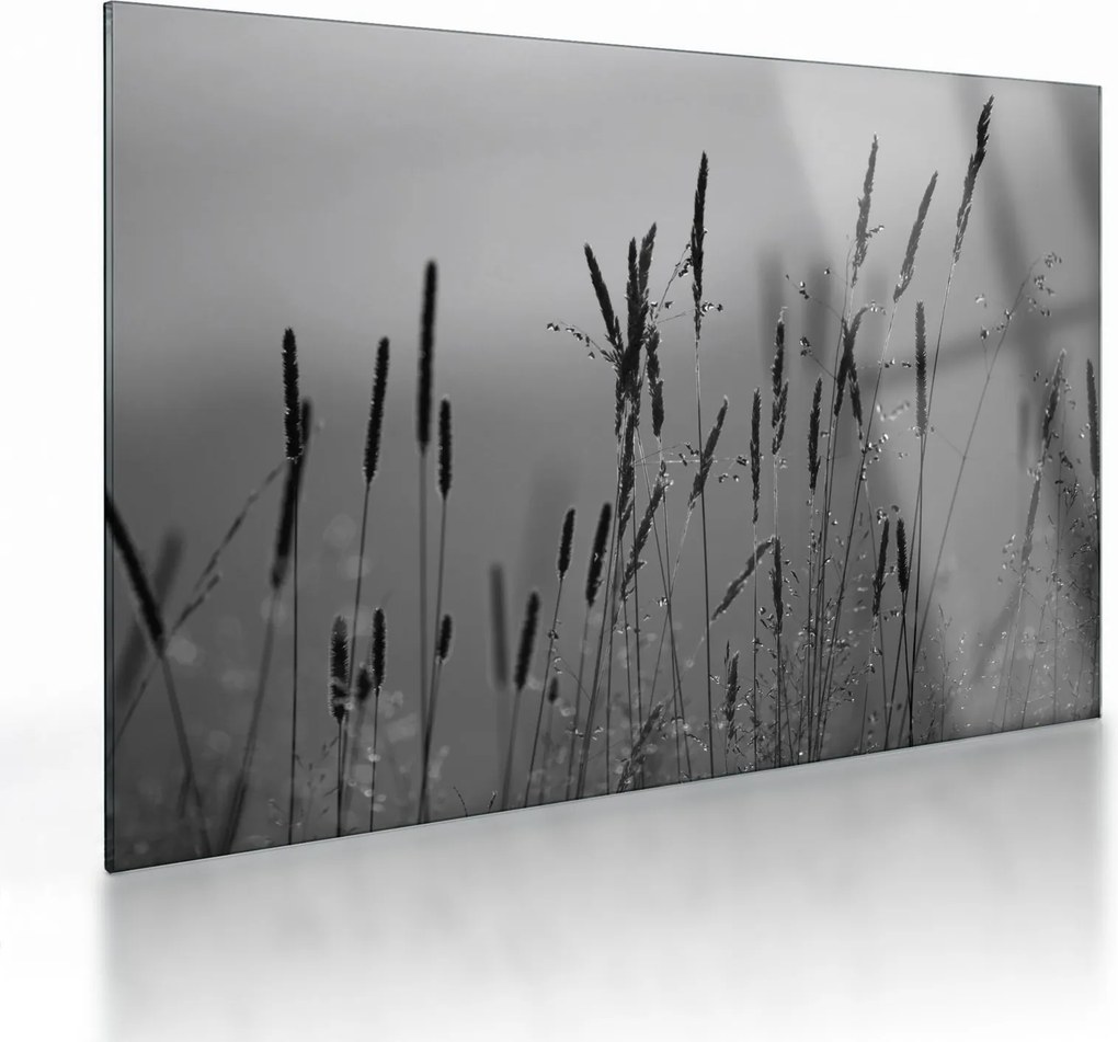Üveg kép - Fűszálak (70x50 cm)