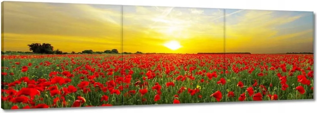 Vászonkép 150x50 Pipacsmező nyugattal