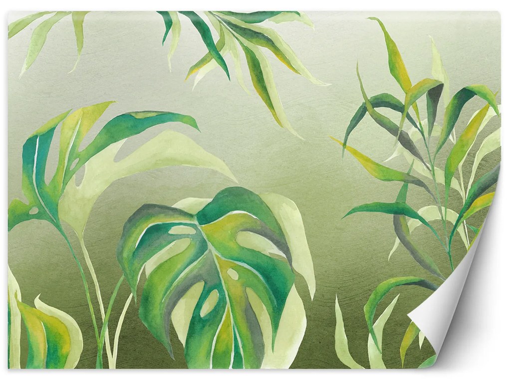 Gario Fotótapéta Monstera levelek világoszöld alapon Anyag: Vlies, Méret: 100 x 70 cm