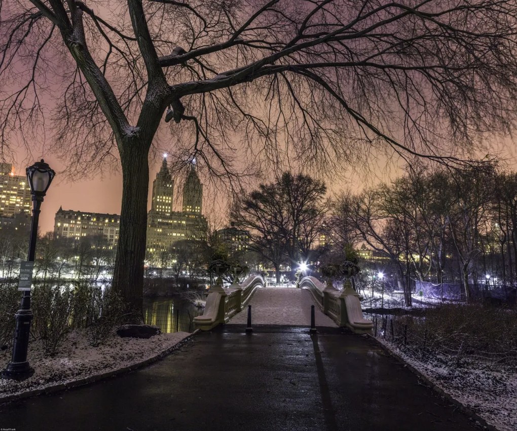 Poszter 60x50cm Esti kilátás a Central Parkra, Assaf Frank