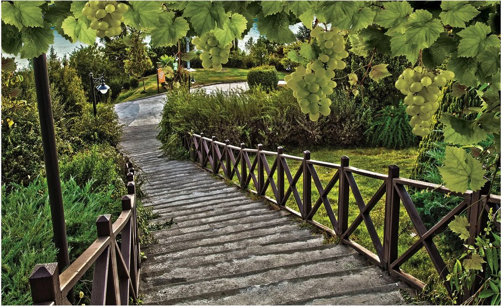 Fotótapéta Provence lépcsői szőlővel és lámpással 250x175 +ragasztó