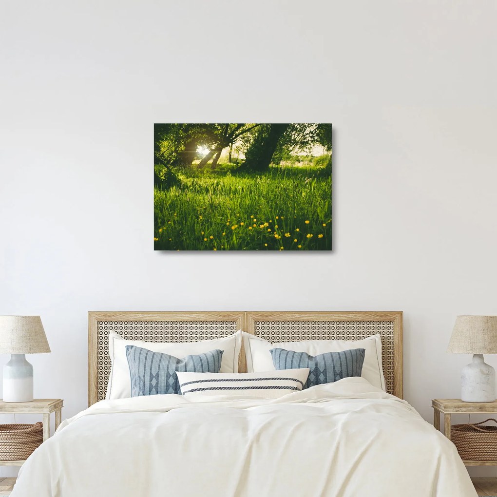 Tájkép - rét (üvegen) (70x50 cm)