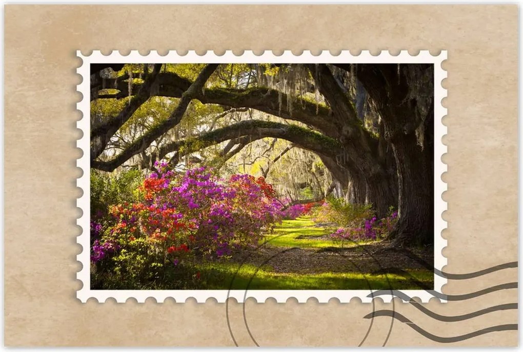 Poszterek 120x80 Tölgyfa sikátor