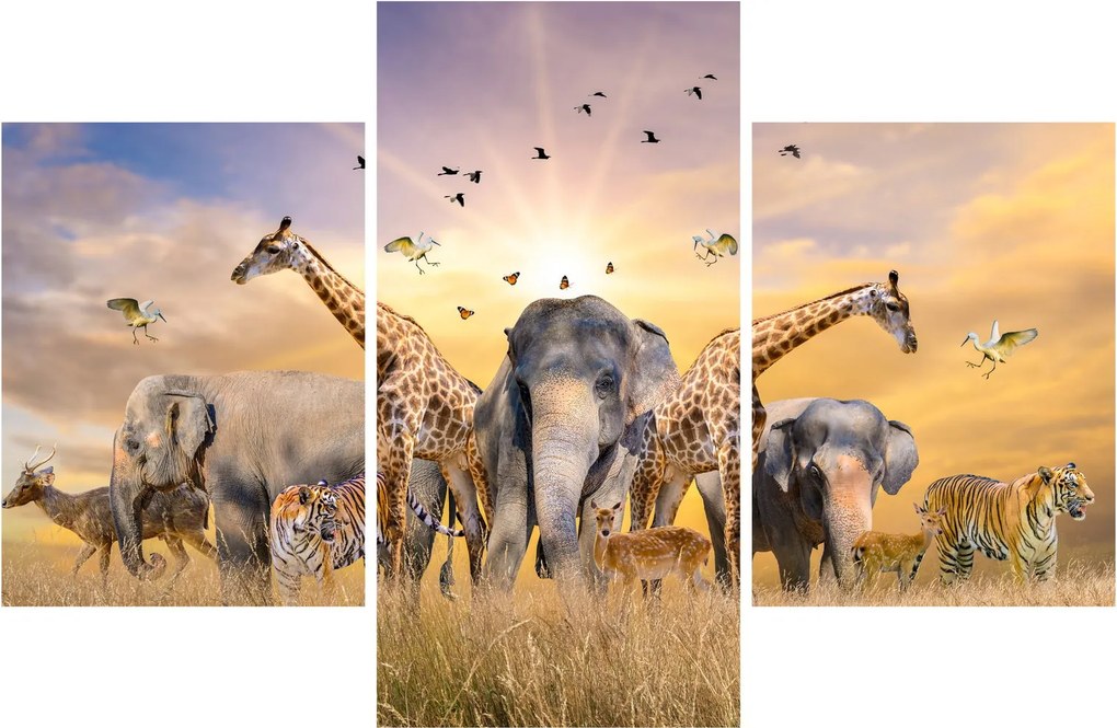 Kép - Afrikai állatok (90x60 cm)