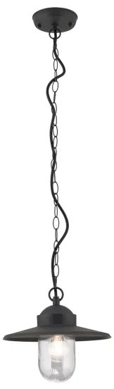 Orion AL 11-1318 - Kültéri függeszték EDWARD 1xE27/60W/230V IP44 fekete