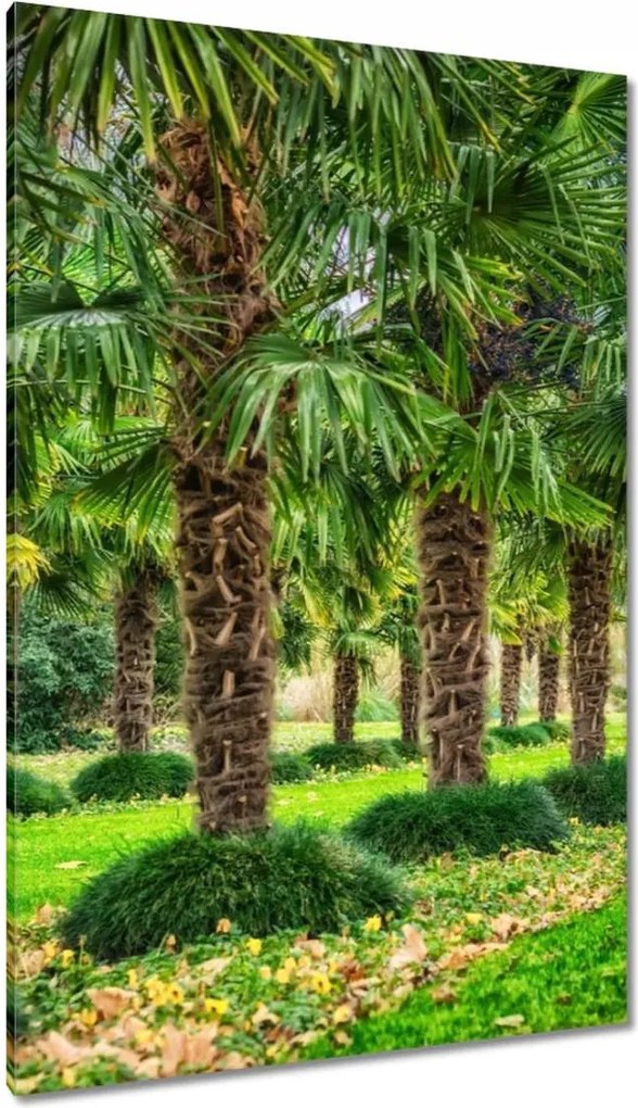 Festmények 80x120 Tájkép