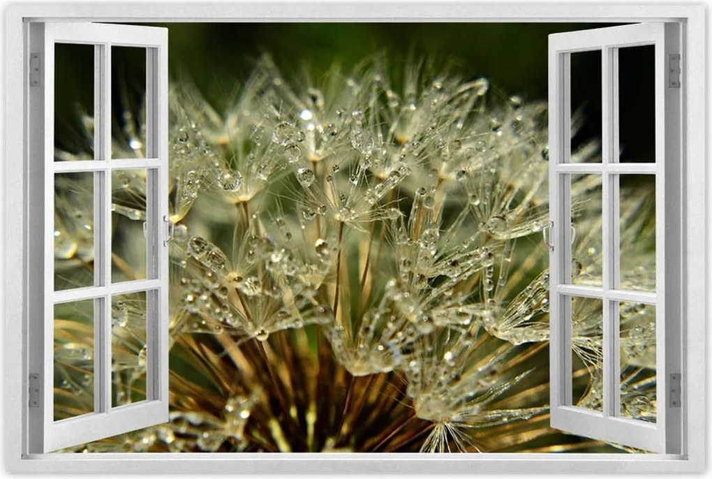 Poszterek 120x80 Pitypang Virág Virágok