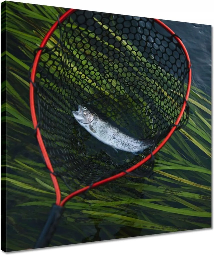 Vászonkép 40x40 Halász és pisztrángháló