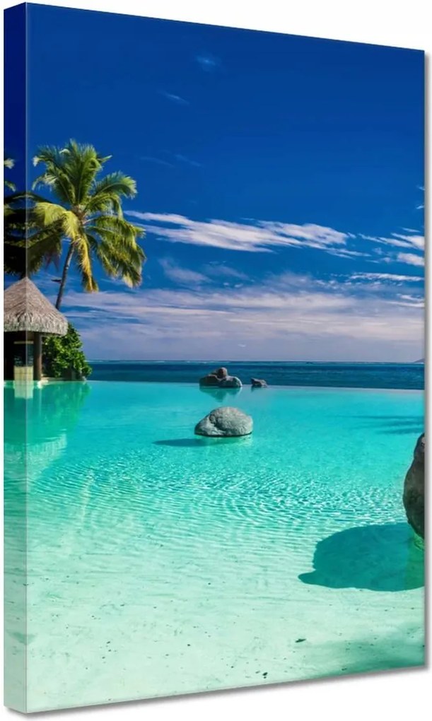 Vászonkép 20x30 Trópusok Tájkép Pálmafák