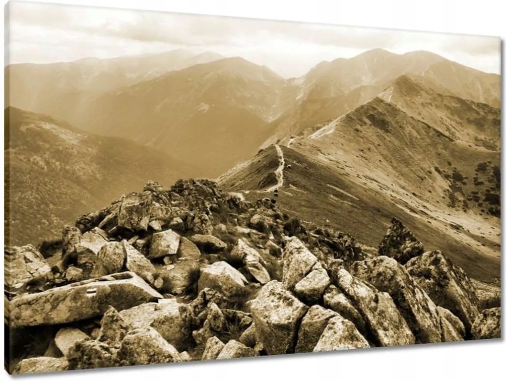 Vászonkép 90x60 Tátra Lengyel hegyek Kilátás