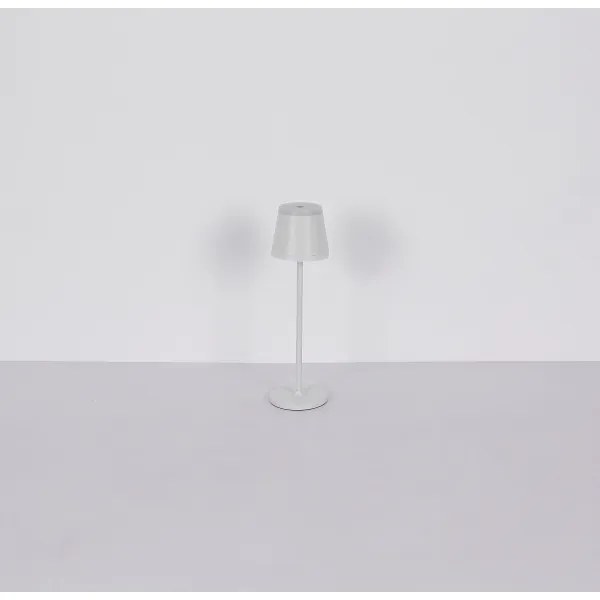 Globo 58433W - LED Dimmelhető érintős asztali lámpa RIDLEY LED/4,6W/230V IP54