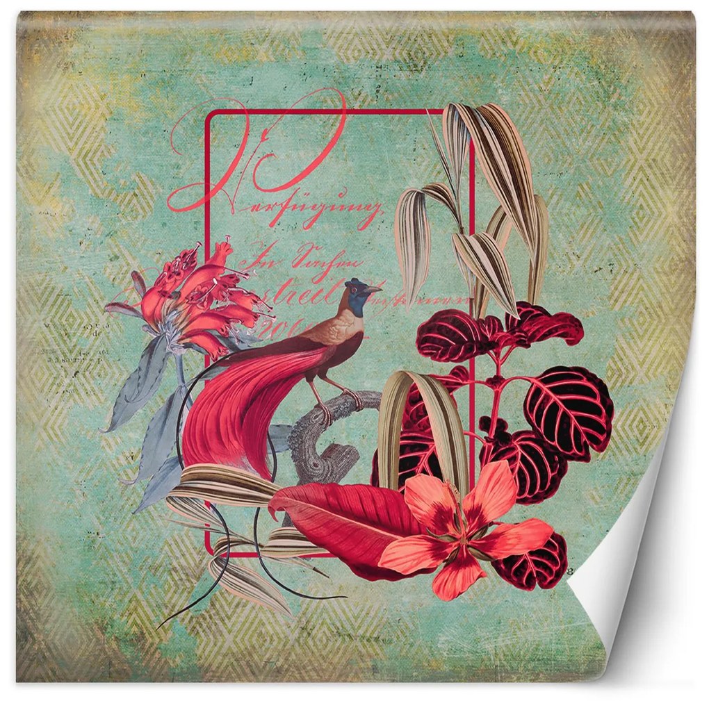 Gario Fotótapéta Zöld és piros absztrakció - Andrea Haase Anyag: Vlies, Méret: 250 x 250 cm