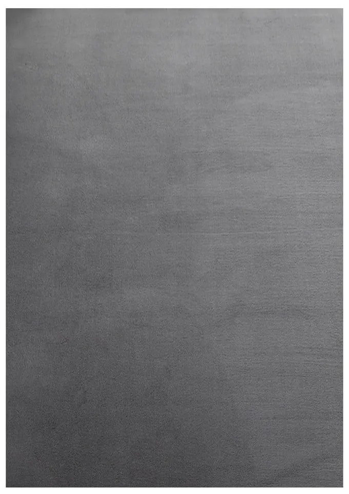Szürke mosható szőnyeg 140x200 cm Sky – Ayyildiz Carpets
