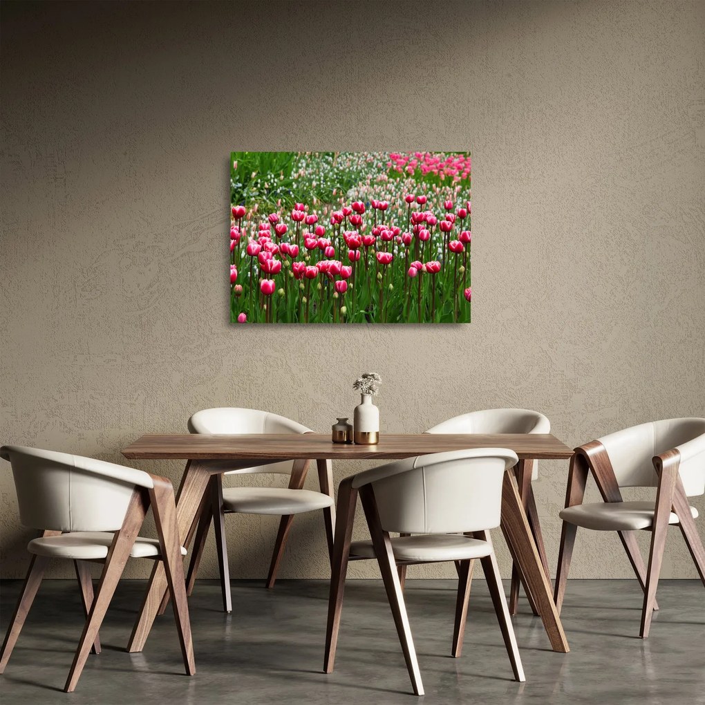Tulipán képe (üvegen) (70x50 cm)
