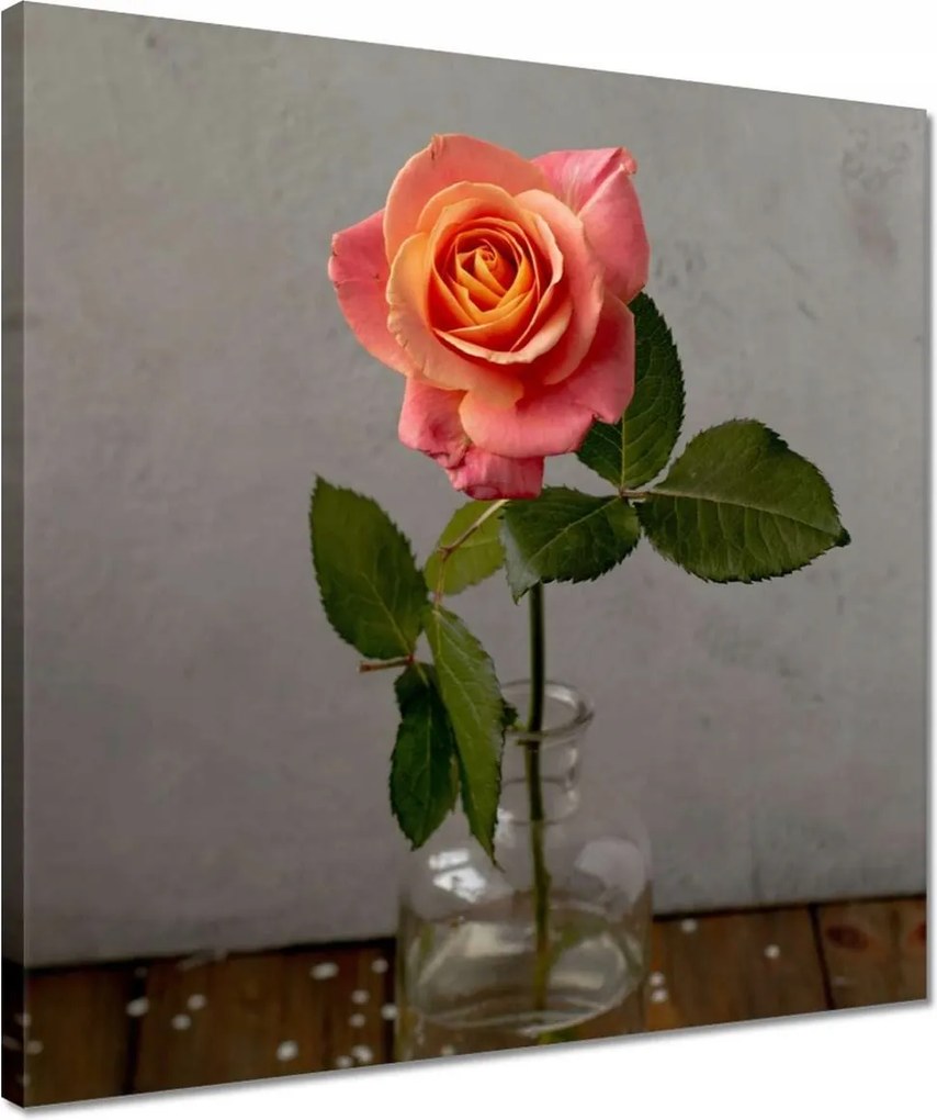 Vászonkép 40x40 Rózsa Virág Virágok Rózsa