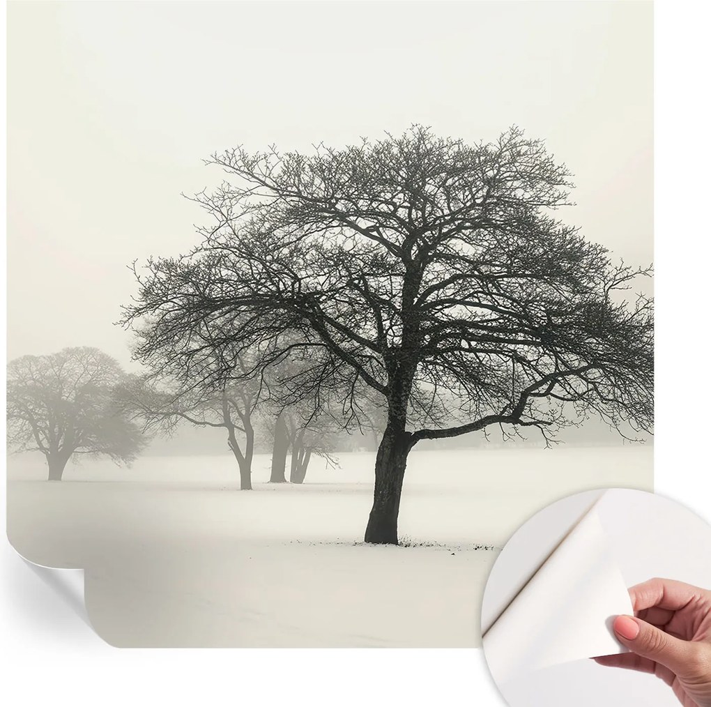 Dekoratív öntapadós fotótapéta Hálószobába Téli fák 250x250 cm
