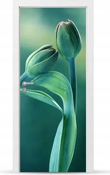 Furnér Kültéri Ajtó matrica Bútor öntapadós Könnyű Ragasztás