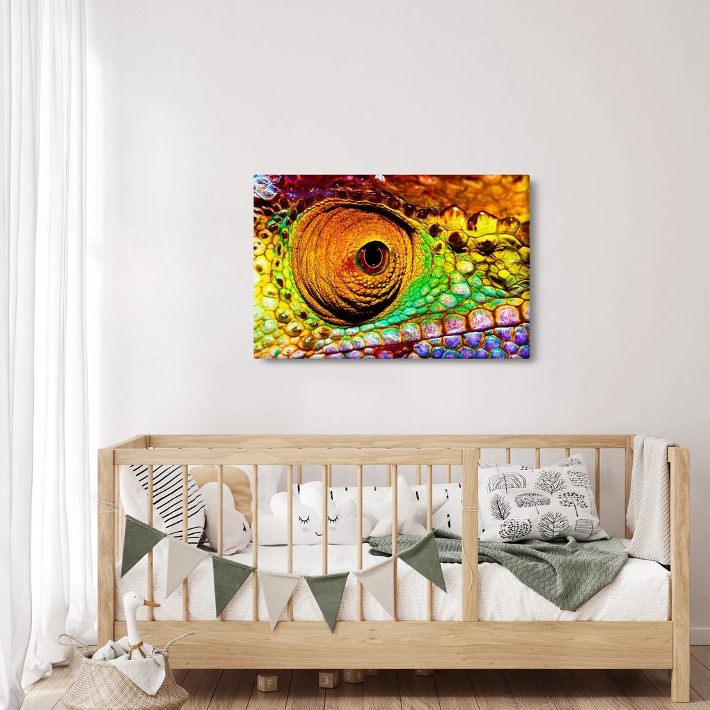 Kép - Kaméleon (90x60 cm)
