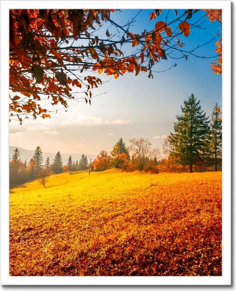 Poszterek keretben 40x50 Őszi táj