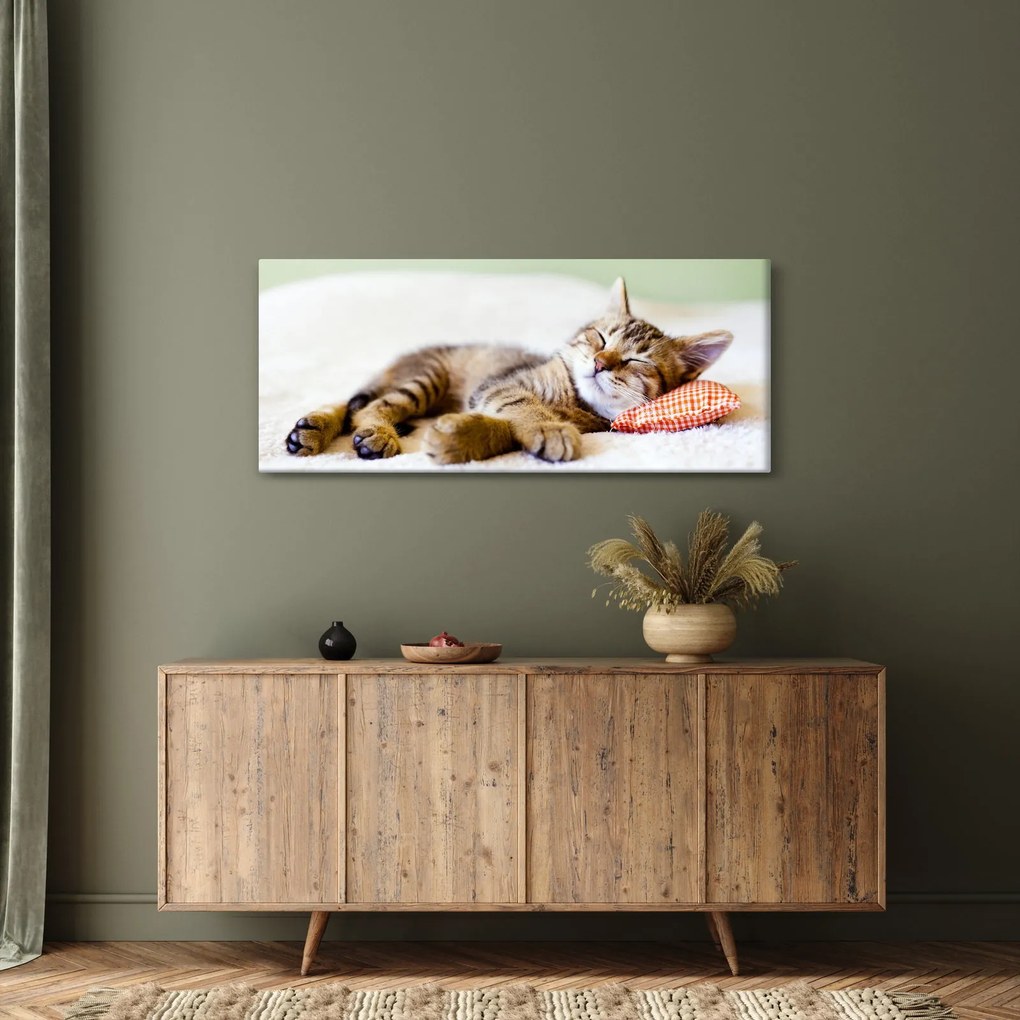 Kép - alvó cica (120x50 cm)