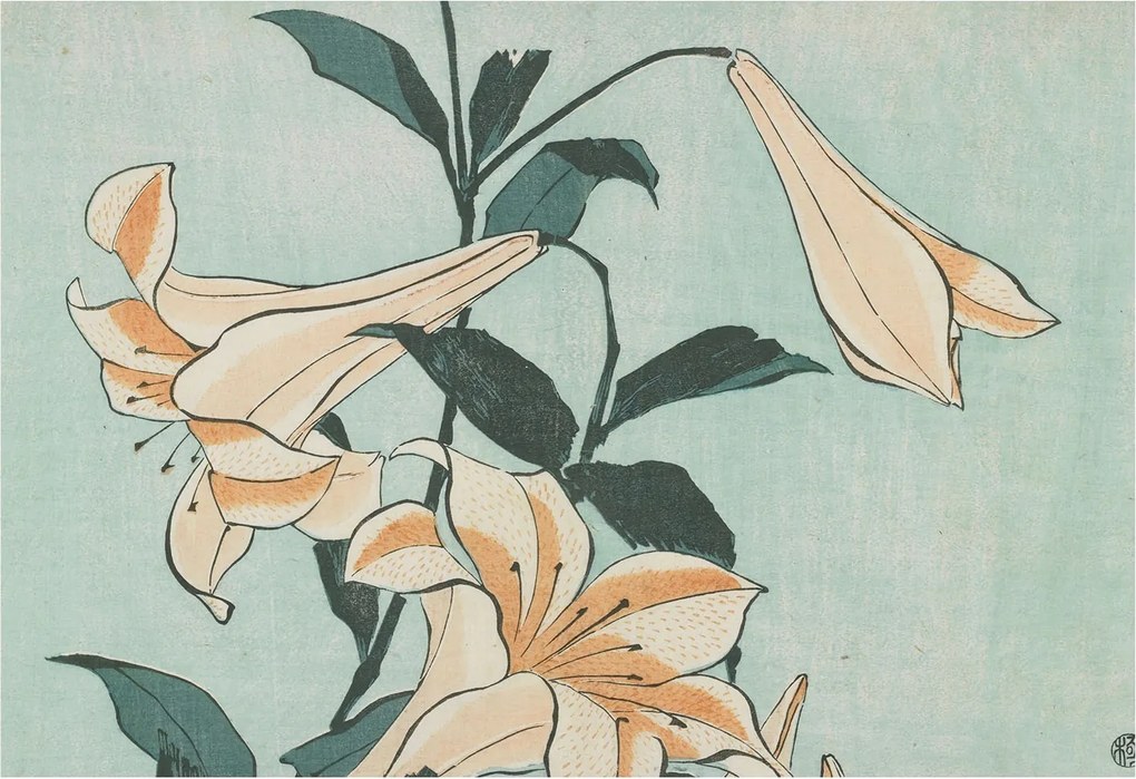 Fali fotótapéta Étkezőbe Finom liliomok 152x104 Ragasztó